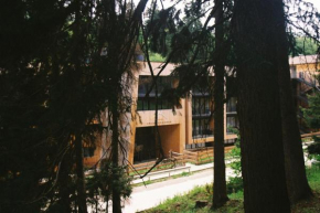 Apartment Kokhta-Mitarbi B3 408